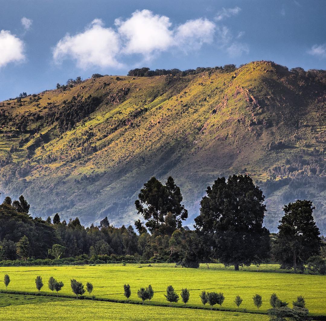 Western Highlands Kenya