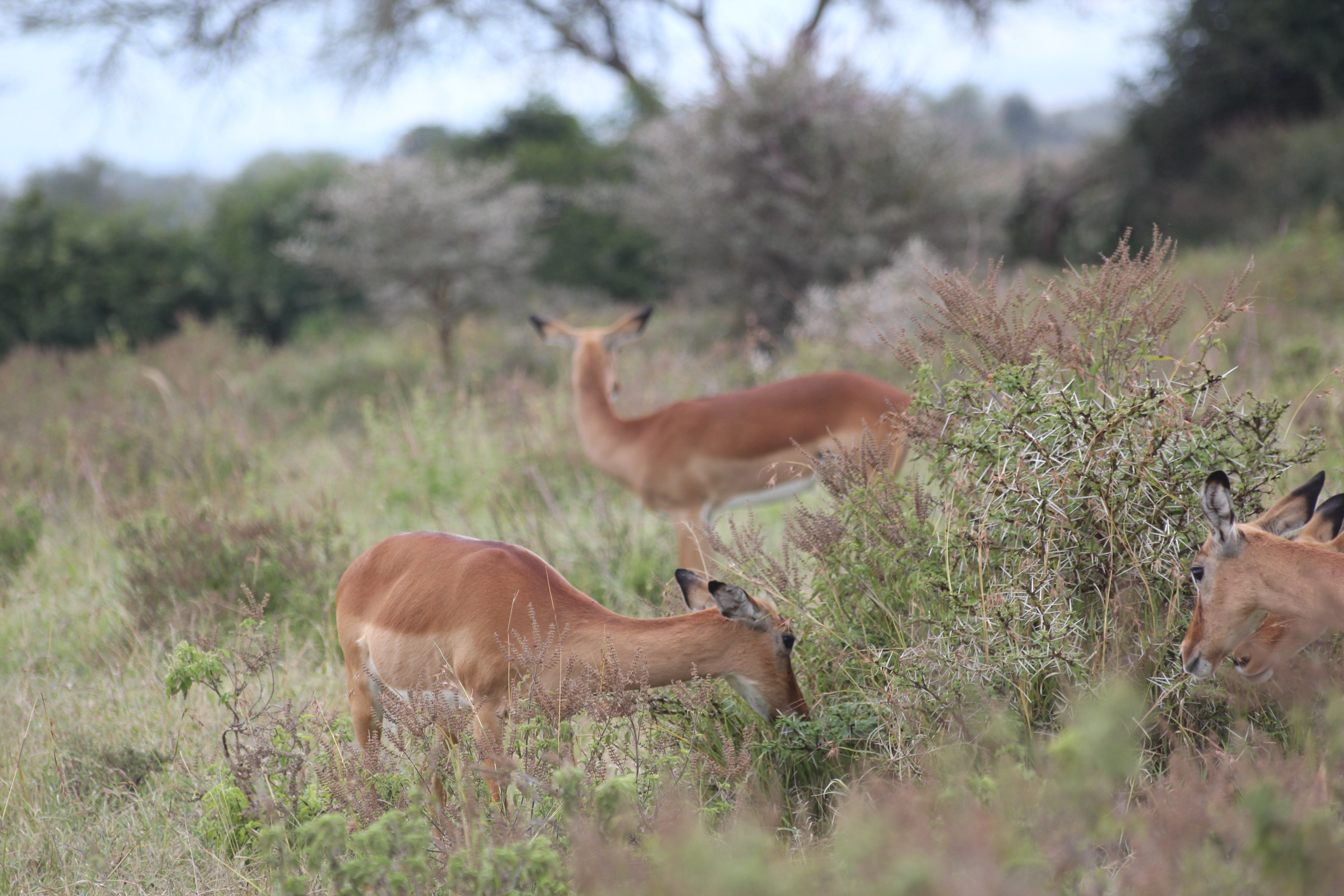 6 Days Tanzania Beyond Safari