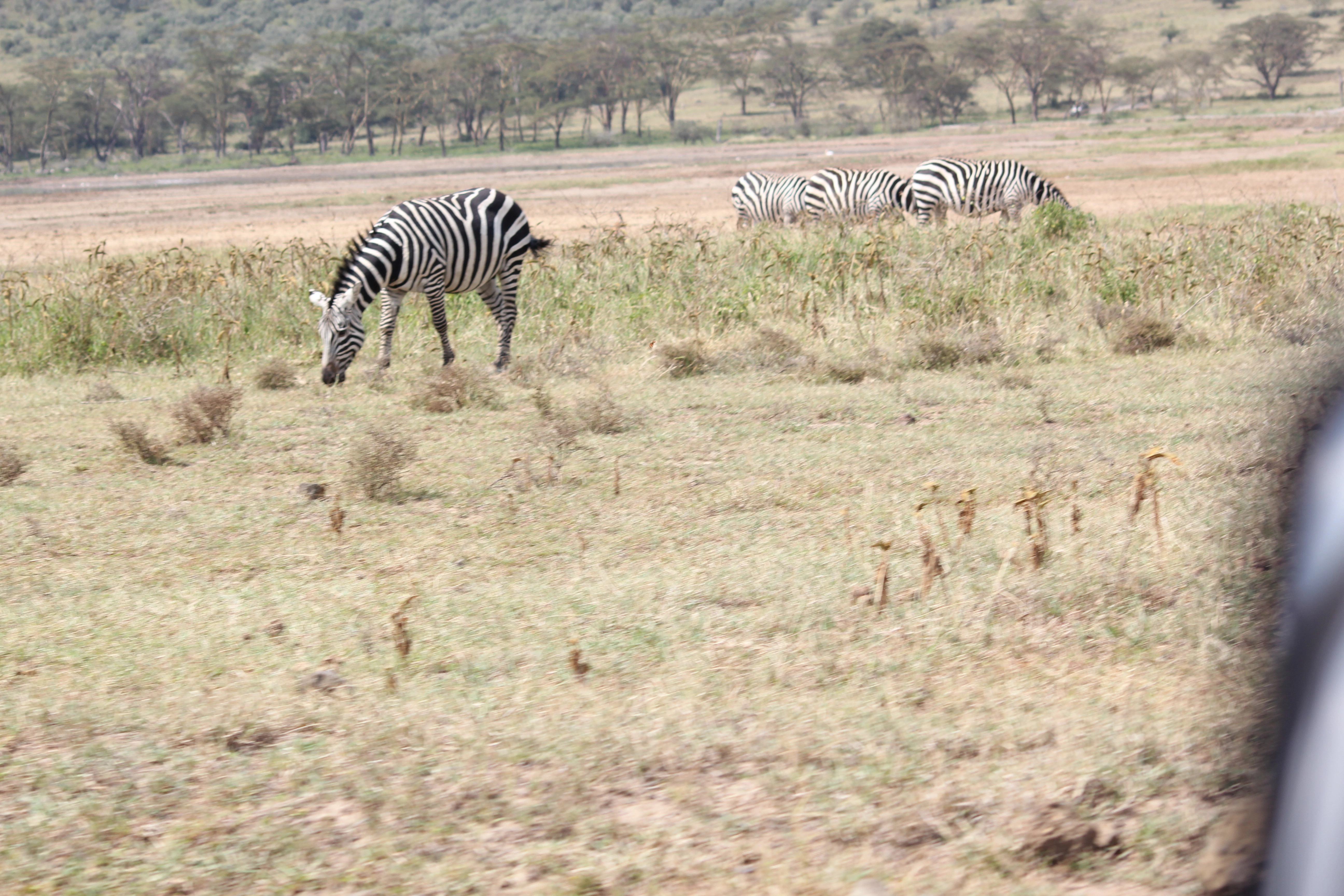 Kenya, Tanzania & Zanzibar Beach Safari (17 Days)