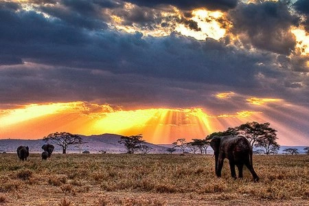 6 Days Kenya Highlight Wildlife Safari