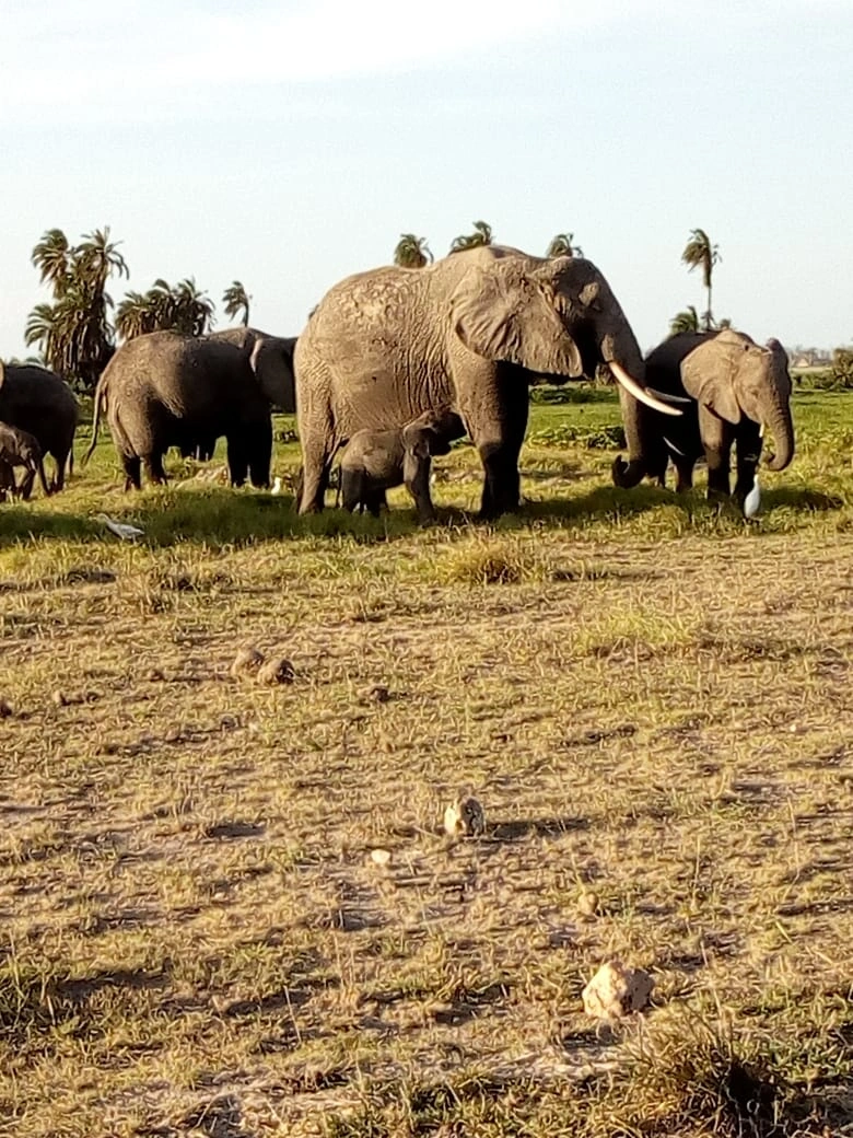 Mwaluganje Elephant Sanctuary