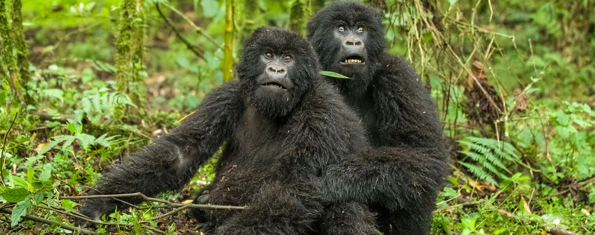 Murchison Falls National Park (3 Days)
