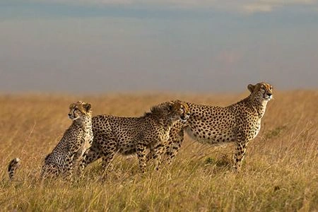 8 Days Safari Chui Kenya