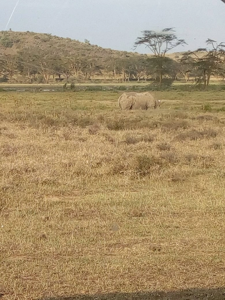 6 Days Spectacular Tanzania Safari