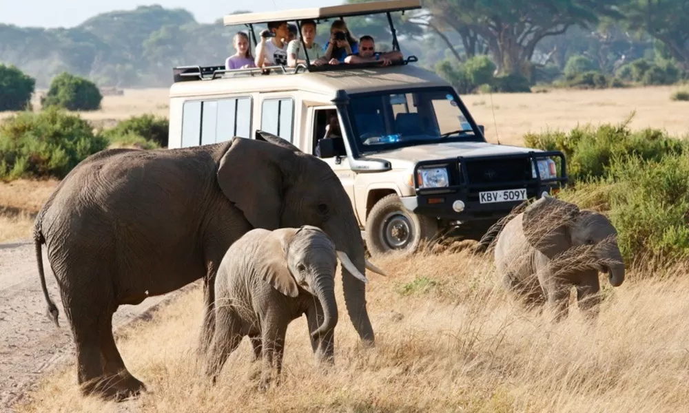 Wonders of Tanzania