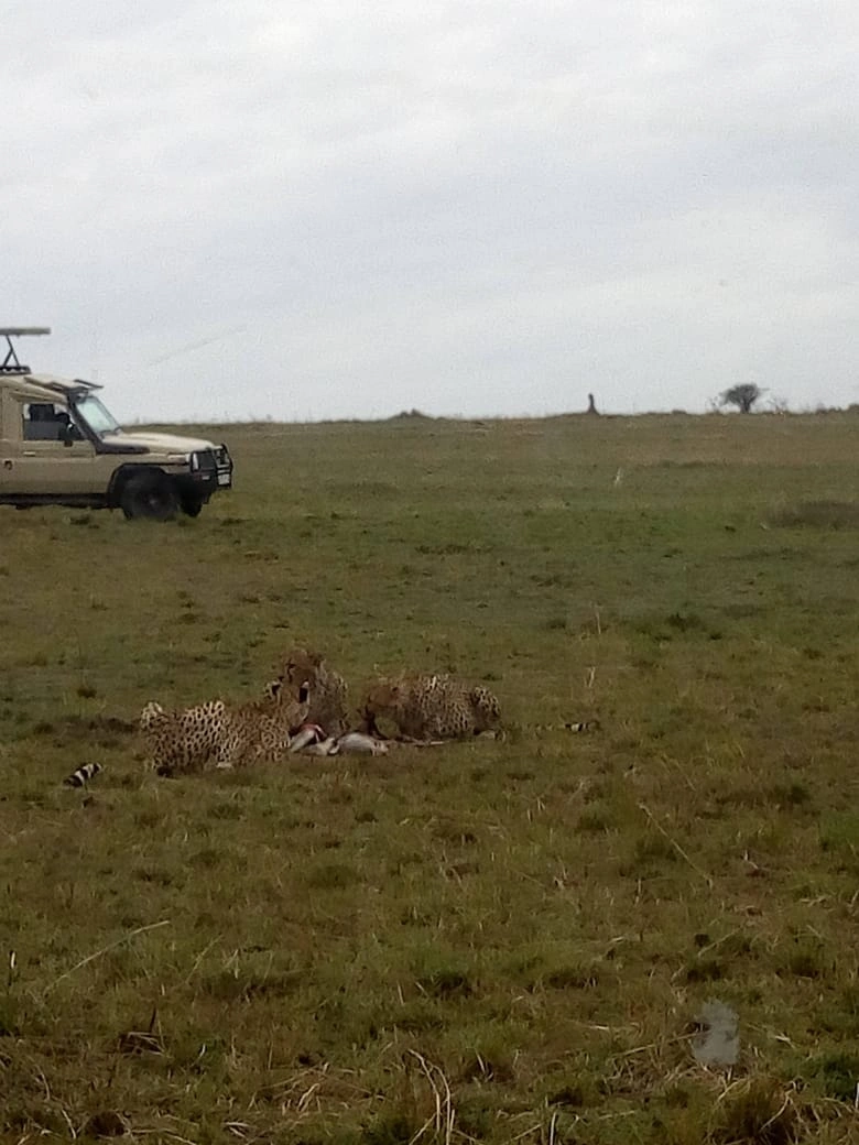 9 Days Kenya Family Holidays Safari