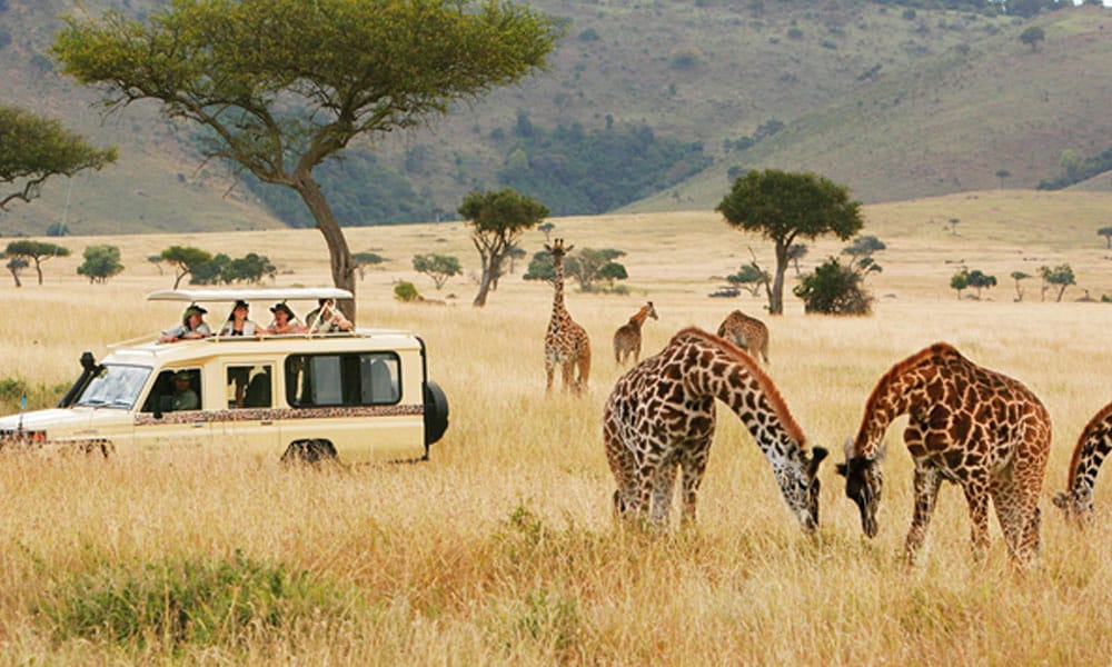 Kenia-Safari