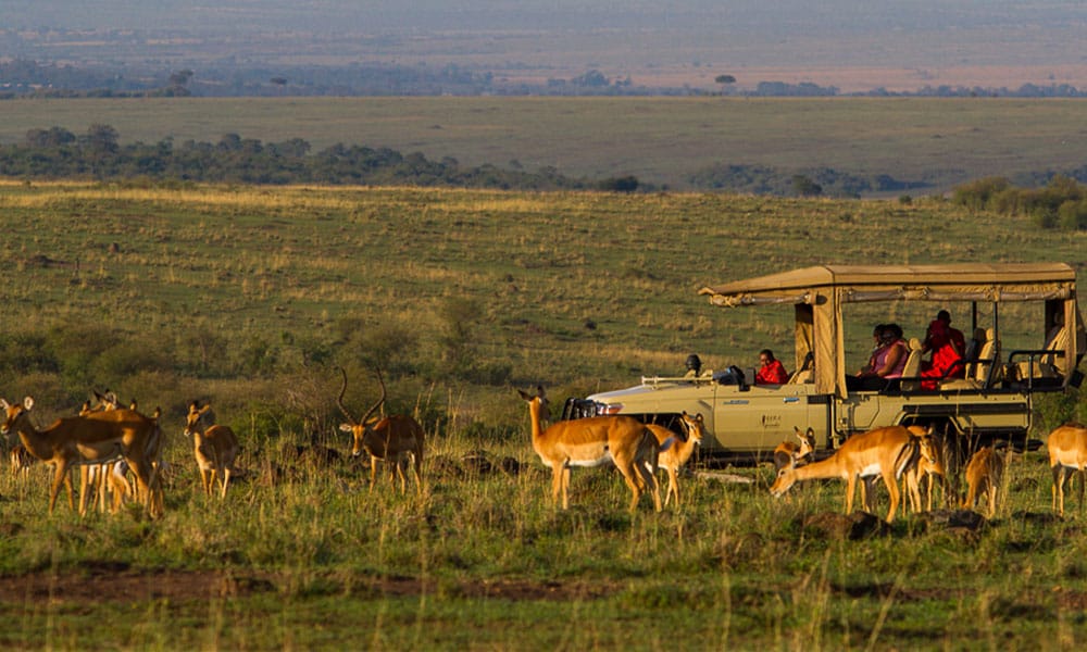 Kenia-Safari