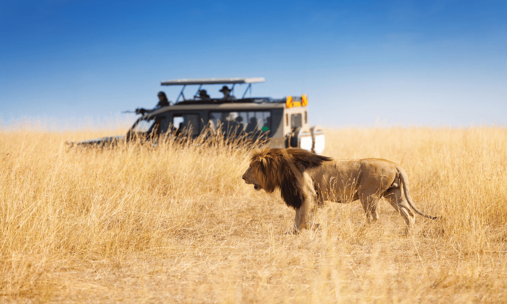 Kenia-Budget-Safari