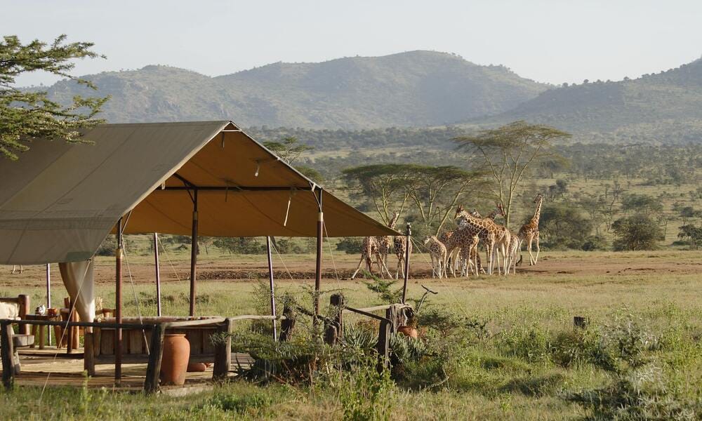 Kenia Camping-Safari
