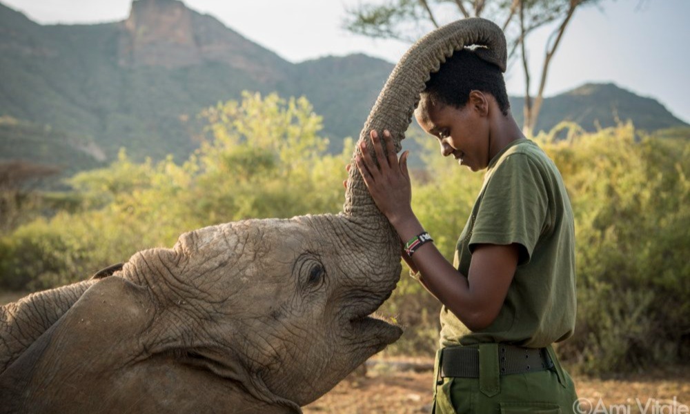 Sanctuaire des éléphants de Reteti