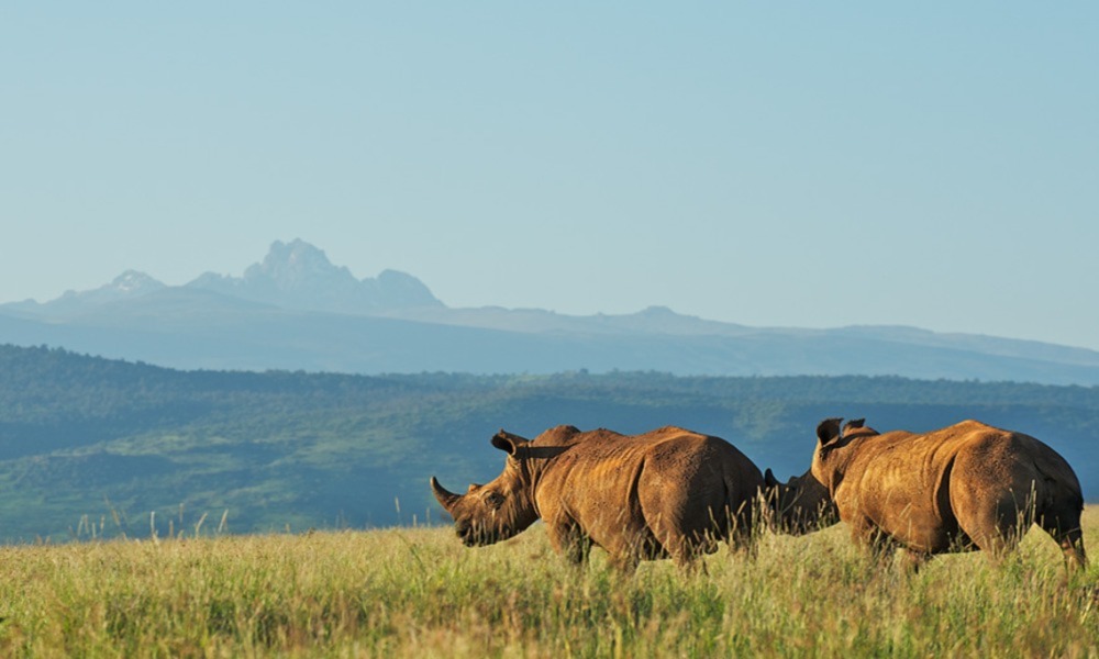 Parc national du Mont Kenya